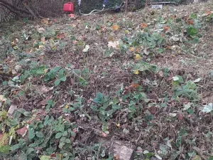 Prodej pozemku pro bydlení, Mimoň, 1060 m2