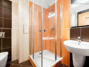 Pronájem bytu 2+kk, Praha - Holešovice, Jankovcova, 67 m2