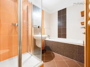 Pronájem bytu 2+kk, Praha - Holešovice, Jankovcova, 67 m2