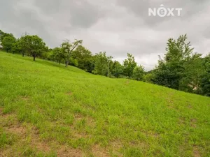 Prodej pozemku pro bydlení, Bratrušov, 2853 m2