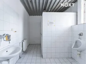 Pronájem výrobních prostor, Zábřeh, 2601 m2