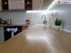 Pronájem bytu 2+1, Chodov, Revoluční, 55 m2