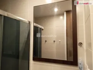 Pronájem bytu 2+1, Chodov, Revoluční, 55 m2