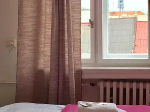 Pronájem bytu 1+1, Praha - Karlín, Sokolovská, 35 m2