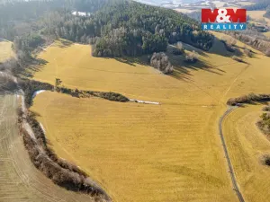 Prodej louky, Malenice, 25808 m2