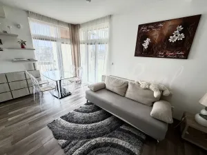 Pronájem bytu 2+kk, Brno - Veveří, Kounicova, 45 m2