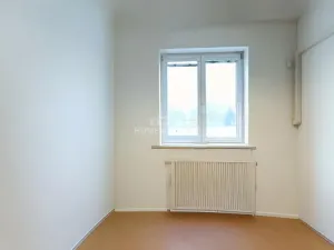 Pronájem skladu, Brno - Dolní Heršpice, Vídeňská, 170 m2