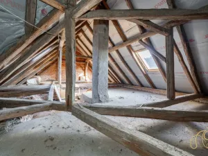 Prodej rodinného domu, Budišov, 678 m2