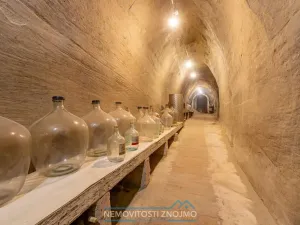 Prodej vinného sklepa, Dobšice, Leska, 25 m2