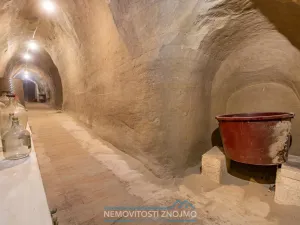 Prodej vinného sklepa, Dobšice, Leska, 25 m2