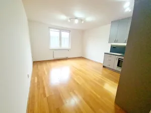 Pronájem bytu 2+kk, Praha - Libeň, Kovanecká, 55 m2