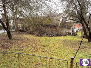 Prodej zemědělské usedlosti, Neveklov - Bělice, 160 m2