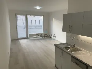 Pronájem bytu 2+kk, Plzeň - Severní Předměstí, Na Chmelnicích, 77 m2