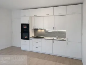 Pronájem bytu 1+kk, Brno, Auerswaldova, 32 m2