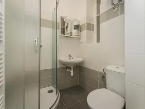 Pronájem bytu 2+kk, Praha - Vinohrady, Mánesova, 52 m2