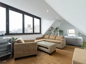Prodej bytu 5+kk, Opava - Předměstí, Máchova, 185 m2