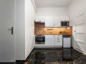 Prodej bytu 2+kk, Praha - Vinohrady, Lužická, 49 m2