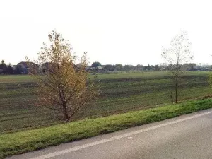 Prodej pole, Veltruby, 13459 m2