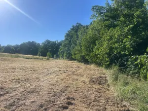 Prodej pozemku pro bydlení, Buš, 1284 m2