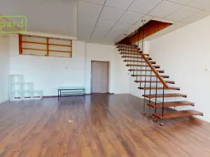 Prodej atypického bytu, Ústí nad Labem - Ústí nad Labem-centrum, Králova výšina, 104 m2