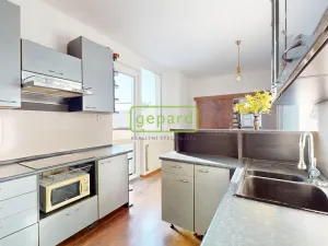 Prodej bytu 3+1, Ústí nad Labem - Ústí nad Labem-centrum, Králova výšina, 104 m2