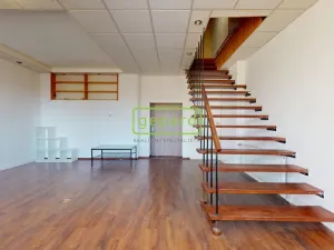 Prodej bytu 3+1, Ústí nad Labem - Ústí nad Labem-centrum, Králova výšina, 104 m2