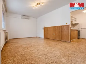 Pronájem bytu 1+kk, Kolín - Kolín II, Březinova, 33 m2