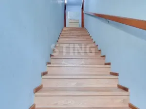 Prodej bytu 3+kk, Hanušovice - Potůčník, 736 m2