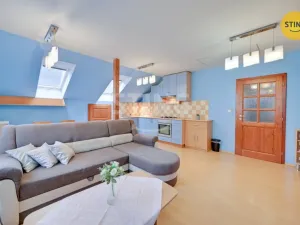 Prodej bytu 3+kk, Hanušovice - Potůčník, 736 m2