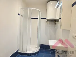 Pronájem bytu 2+1, Praha - Žižkov, Ambrožova, 81 m2