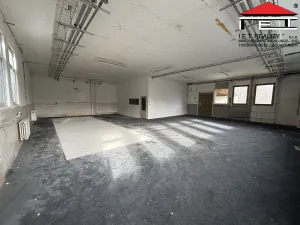 Pronájem výrobních prostor, Frýdek-Místek - Skalice, 260 m2