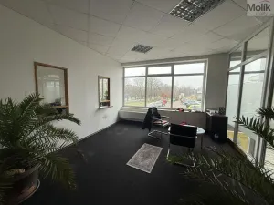 Pronájem obchodního prostoru, Most, Moskevská, 41 m2