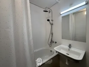 Pronájem bytu 1+1, Olomouc, Družební, 36 m2