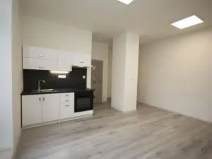 Pronájem bytu 1+kk, Milovice - Mladá, Slepá, 35 m2