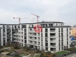 Pronájem bytu 2+kk, Ostrava, F. X. Riepla, 54 m2