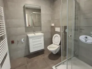 Pronájem bytu 1+kk, Znojmo, Šatovská, 31 m2