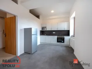 Pronájem bytu 1+1, Světnov, 36 m2