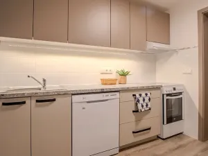 Pronájem bytu 2+kk, Pátek, 80 m2