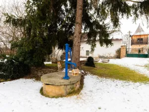 Prodej chalupy, Plaňany, Komenského, 111 m2