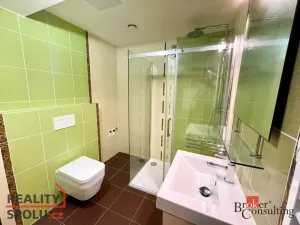 Pronájem bytu 2+kk, Plzeň - Černice, Štefánikova, 55 m2