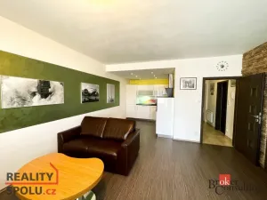 Pronájem bytu 2+kk, Plzeň - Černice, Štefánikova, 55 m2