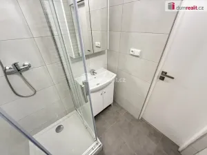 Pronájem bytu 1+1, Praha, Marie Cibulkové, 43 m2