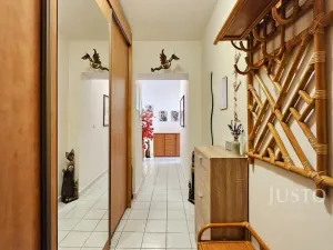 Prodej bytu 2+kk, Písek, Zátavské nábř., 46 m2