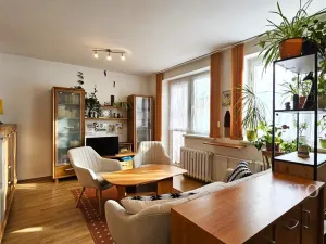 Prodej bytu 2+kk, Písek, Zátavské nábř., 46 m2