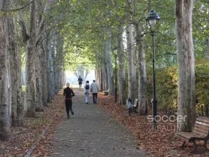 Pronájem bytu 2+kk, Praha - Holešovice, Jirečkova, 60 m2