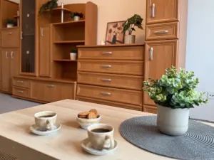 Prodej bytu 2+1, Jičín, Na jihu, 52 m2