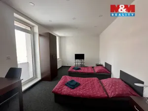Pronájem bytu 1+kk, Příseka, 30 m2