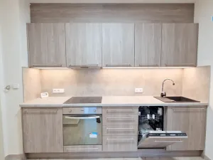 Pronájem bytu 2+kk, Praha - Žižkov, Jana Želivského, 60 m2