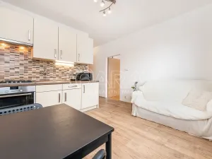 Pronájem bytu 1+1, Liberec - Liberec III-Jeřáb, Vaňurova, 37 m2