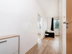 Pronájem bytu 1+1, Liberec - Liberec III-Jeřáb, Vaňurova, 37 m2